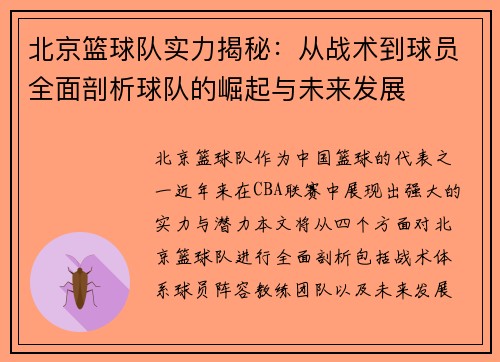 北京篮球队实力揭秘：从战术到球员全面剖析球队的崛起与未来发展